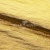 Текстильный материал "Диско"#1805 с покрытием РЕТ, 40гр/м2, 100% полиэстер, цв.5-золото - купить в Салавате. Цена 412.36 руб.