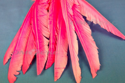 Декоративный Пучок из перьев, перо 25см/розовый - купить в Салавате. Цена: 14.40 руб.