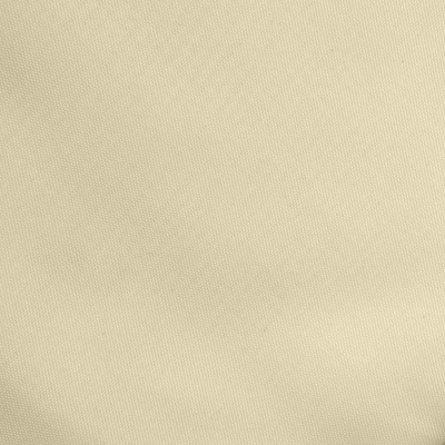 Ткань подкладочная Таффета 14-1014, антист., 53 гр/м2, шир.150см, цвет бежевый - купить в Салавате. Цена 62.37 руб.
