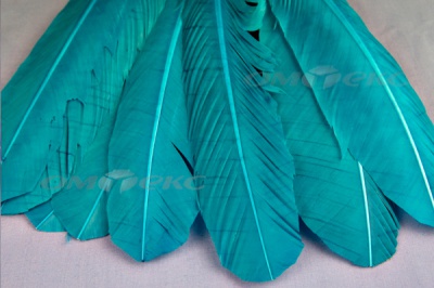 Декоративный Пучок из перьев, перо 24см/голубой - купить в Салавате. Цена: 12.19 руб.