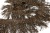 008-коричневый, Бахрома арт.001 шир.10см (упак.12+/-0,5м) - купить в Салавате. Цена: 1 017.33 руб.