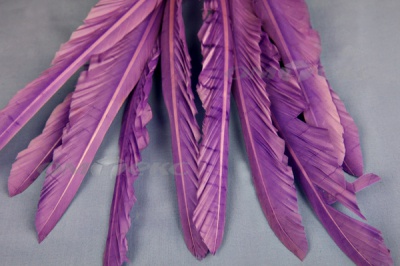 Декоративный Пучок из перьев, перо 25см/фиолетовый - купить в Салавате. Цена: 12.19 руб.