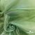 Ткань органза, 100% полиэстр, 28г/м2, шир. 150 см, цв. #27 зеленый - купить в Салавате. Цена 86.24 руб.