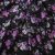 Плательная ткань "Фламенко" 20.1, 80 гр/м2, шир.150 см, принт растительный - купить в Салавате. Цена 241.49 руб.