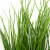 Трава искусственная -4, шт  (осока 50 см/8 см  7 листов)				 - купить в Салавате. Цена: 130.73 руб.