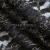 Кружевное полотно XD LACE 1-4, 80 гр/м2, шир.150см, цвет чёрный - купить в Салавате. Цена 245.94 руб.
